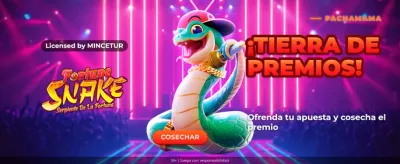 Forzzawin Casino Fortune Snake